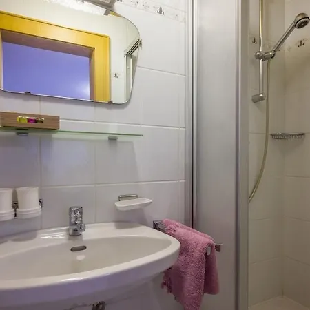 Apartment Ferienwohnung Springer Ellmau